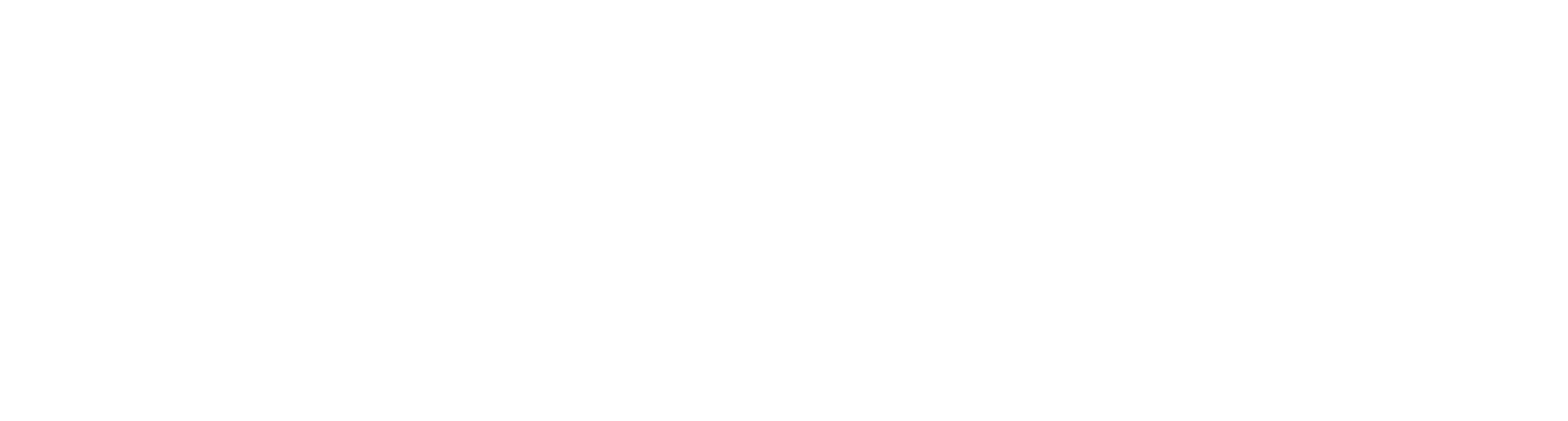 AION Service Logo